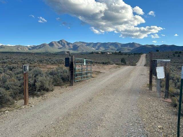 5 acres Spirt Dog Road - Photo 1