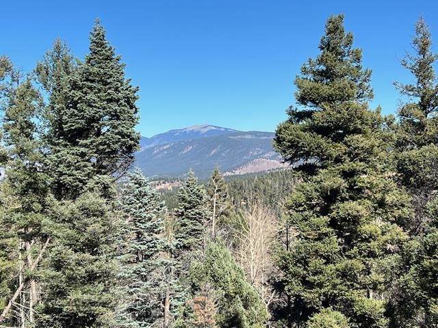 lot 373 Vail Loop - Photo 1