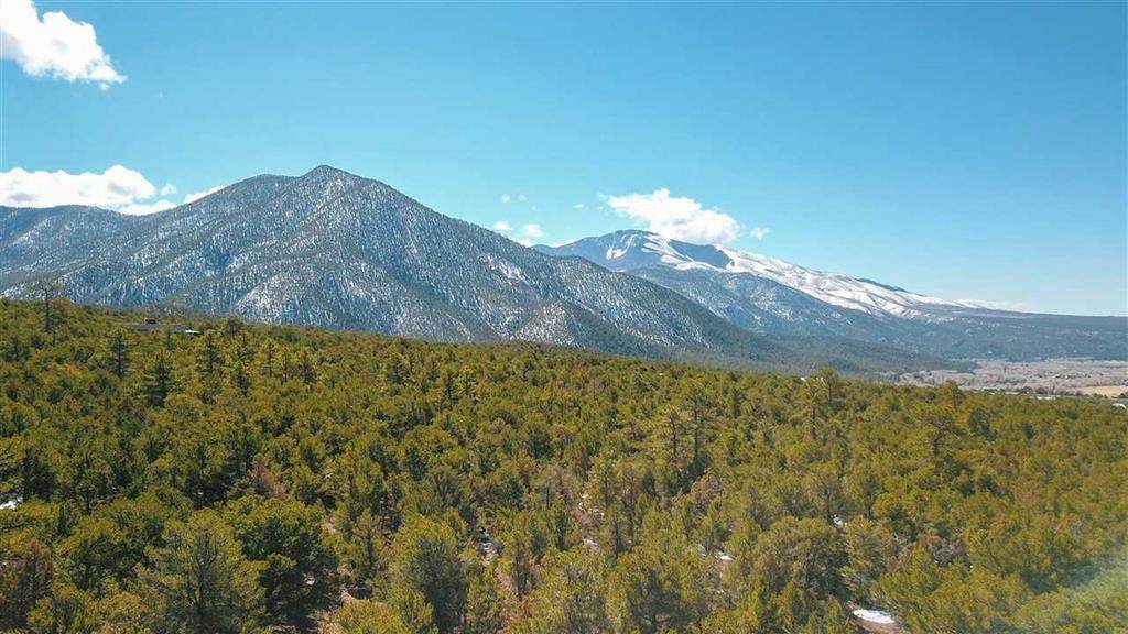 Lot 41 Lower Pinabete Road - Photo 1