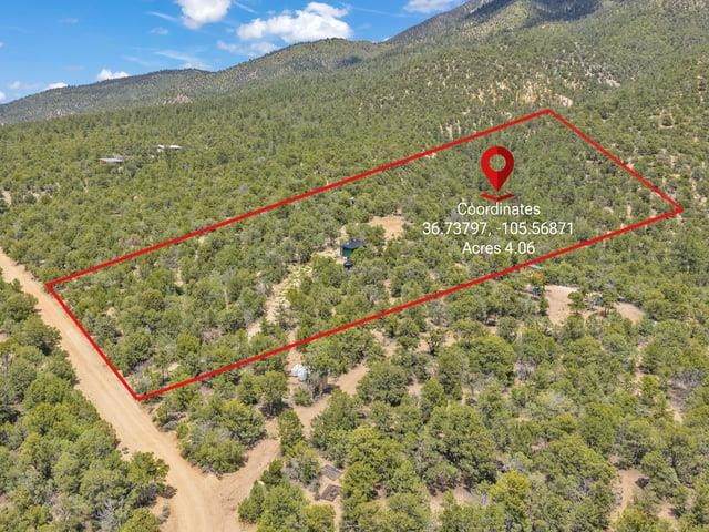 Lot 85 Pinabete Road - Photo 1