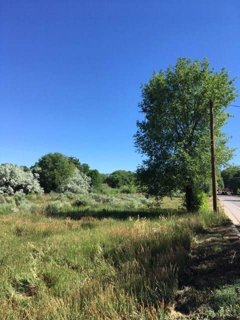 Lot H Salazar Road - Photo 1