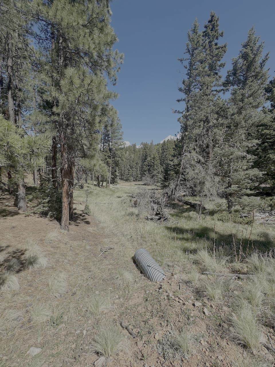 Lot 58 Calle De Los Indios - Photo 1