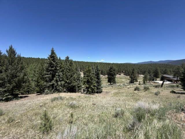 Lot 1331A San Pedro - Photo 1