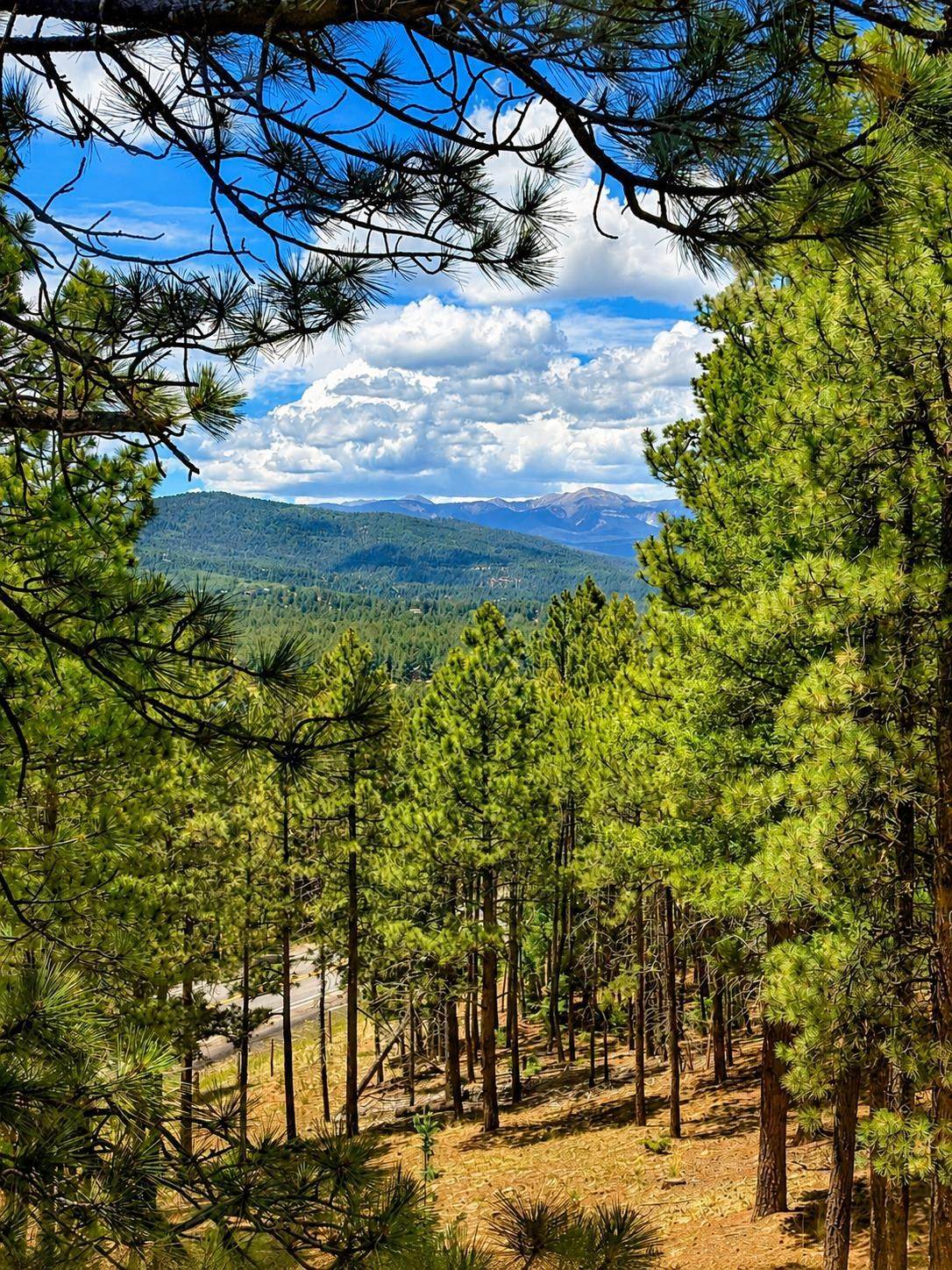 https://bt-photos.global.ssl.fastly.net/taos/1280_boomver_1_115336-2.jpg