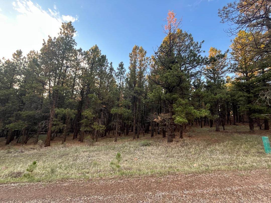 20 Valley Rd - Photo 1