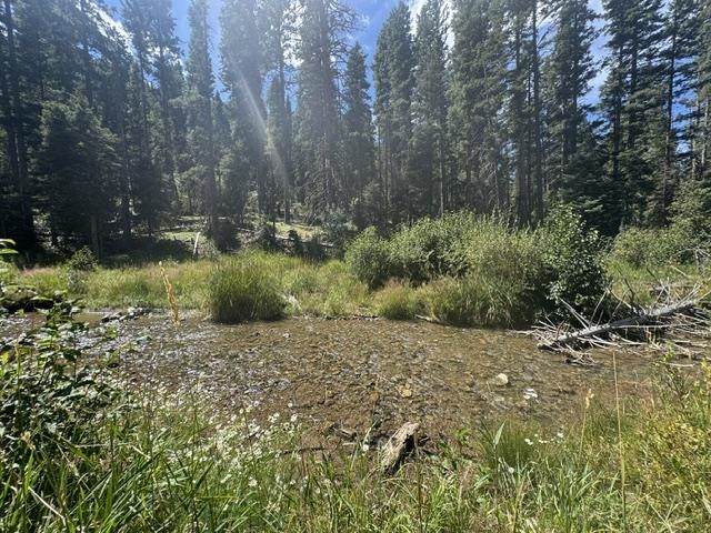 1325 Highway 150 - Photo 1
