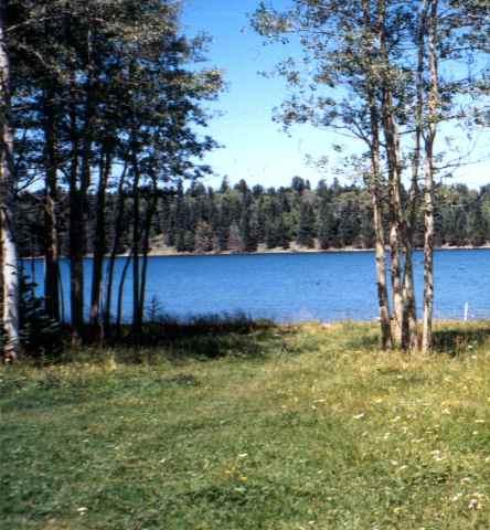 Lot 44 Hidden Lake Circle - Photo 1