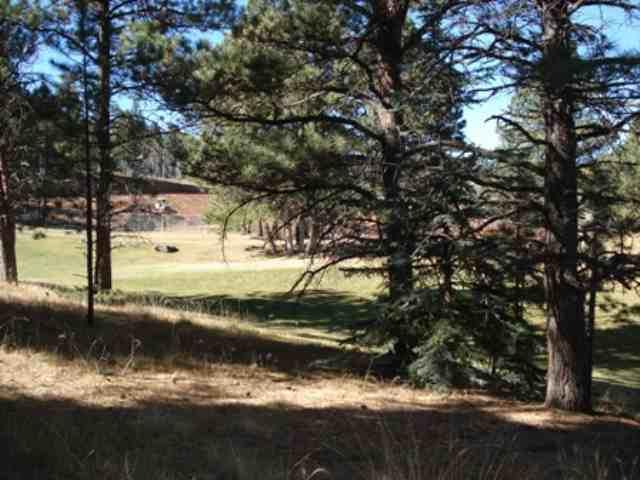 Lot 10 Tam Oshanter Terrace - Photo 1