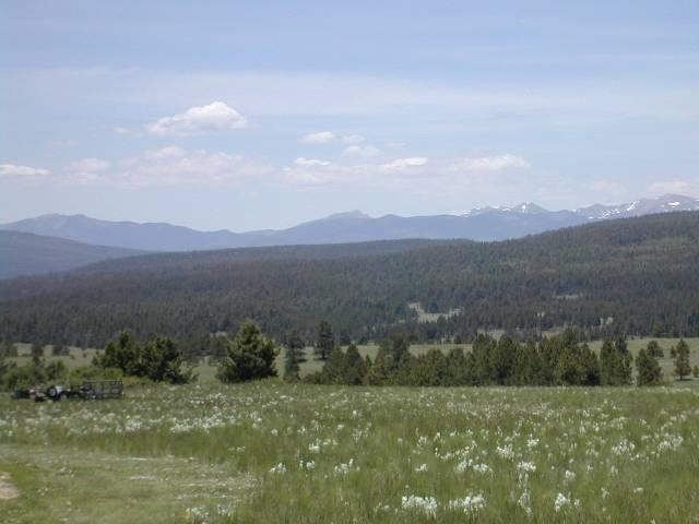 00 Tract B, Hwy 120 - Photo 1