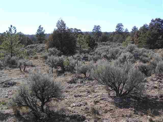 1 MILE S. Of Tres Piedras; West Side Hwy 285 - Photo 1
