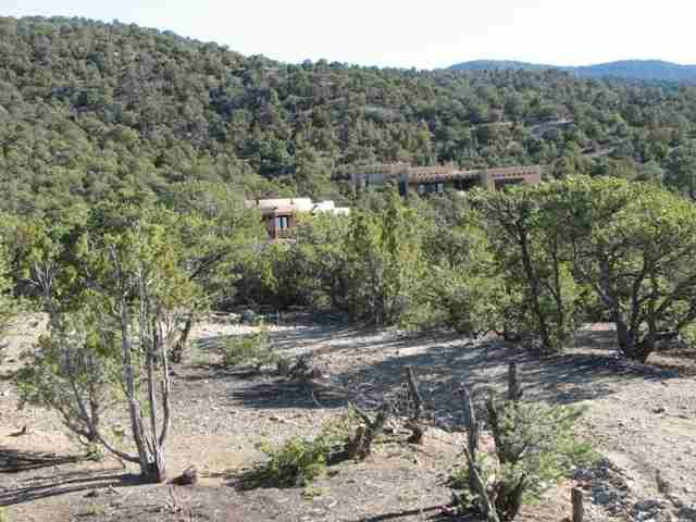 * Pinon Trail - Photo 1