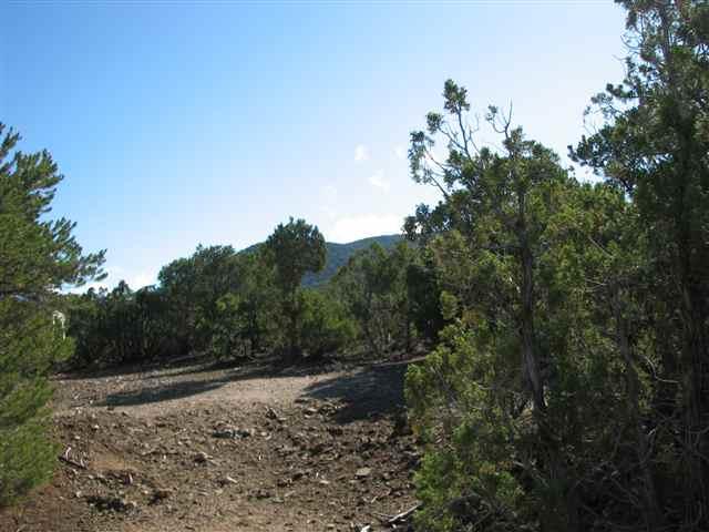 * Pinon Trail - Photo 1