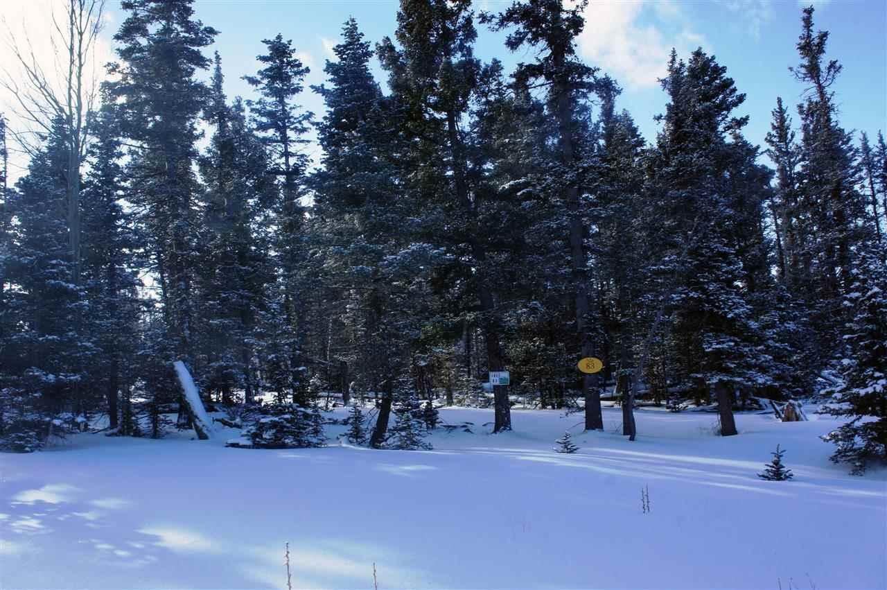 Lot 83 Elk Meadow - Photo 1