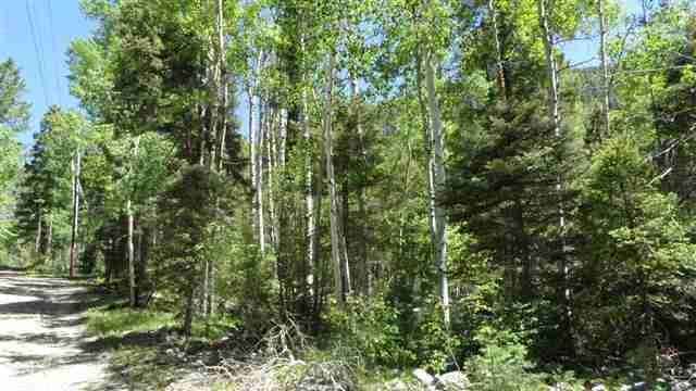 Block 5 Lot 1 Highway 150 - Photo 1