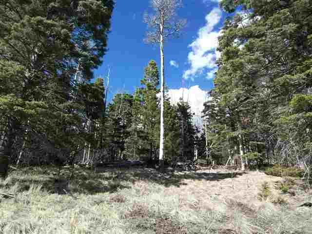 1298 A Pleasant Valley Overlook - Photo 1
