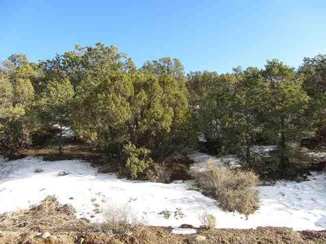 . South Carson Drive - Photo 1