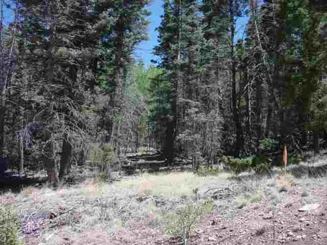 Lot 1542 El Camino Real - Photo 1