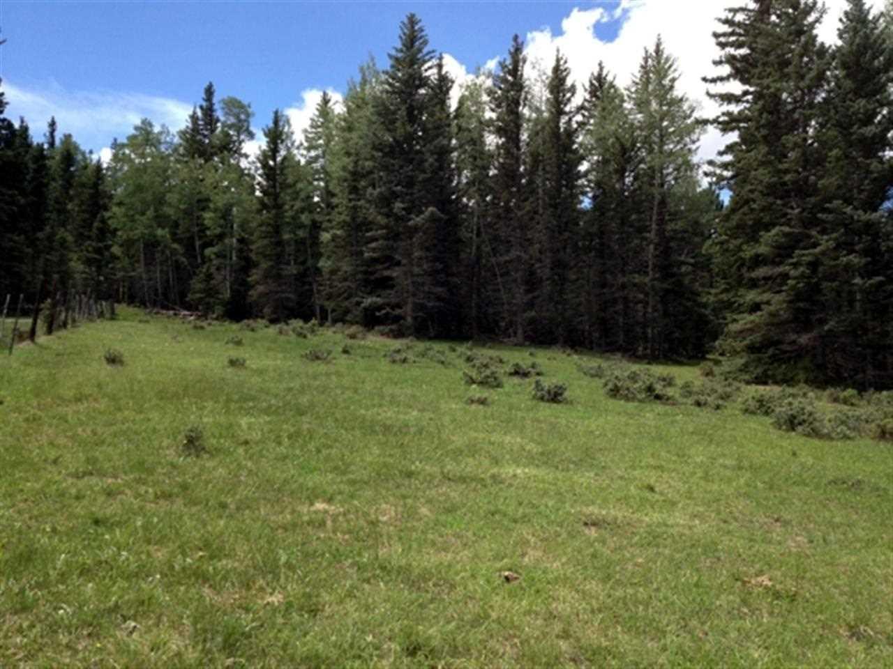 Lot 4 Deer Run Subdivision - Photo 1