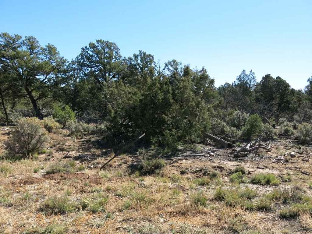 58 Servilleta Lot 58 - Photo 1