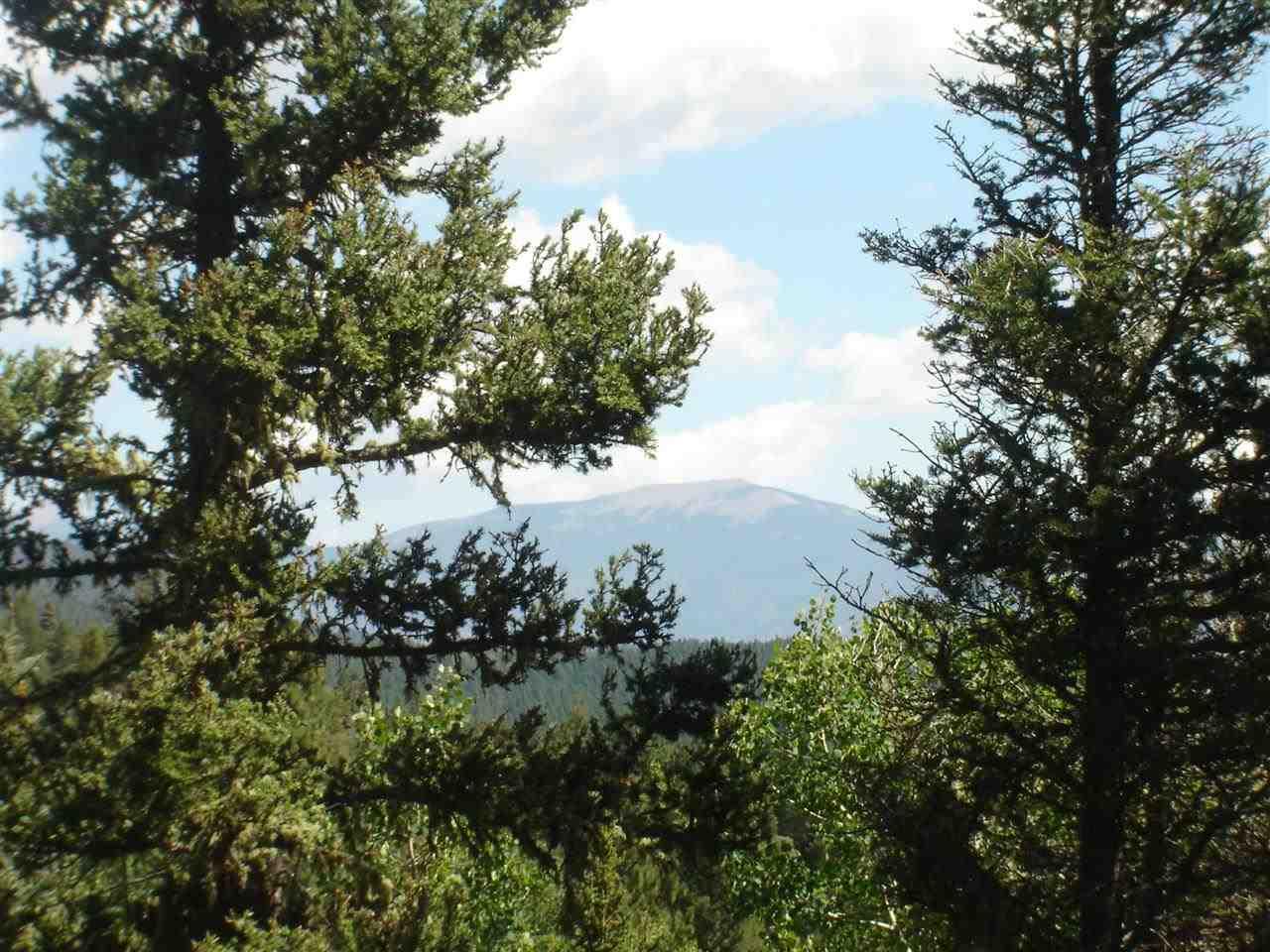 Lot 73 Taos Pines Ranch Road - Photo 1