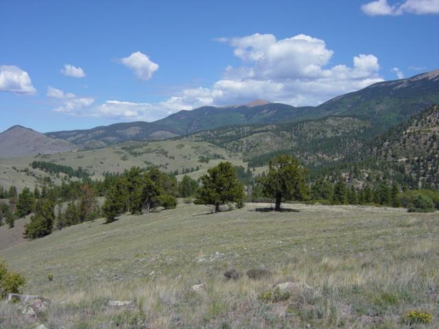 Lot 5A Bluestream Subdivision - Photo 1