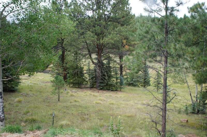 Lot 144 Angel Fire Village West - Photo 1