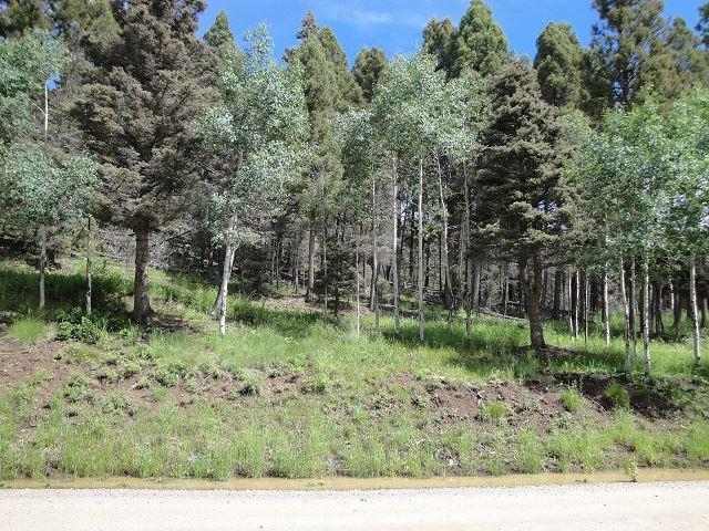 Lot 1379 Santo Domingo Dr - Photo 1