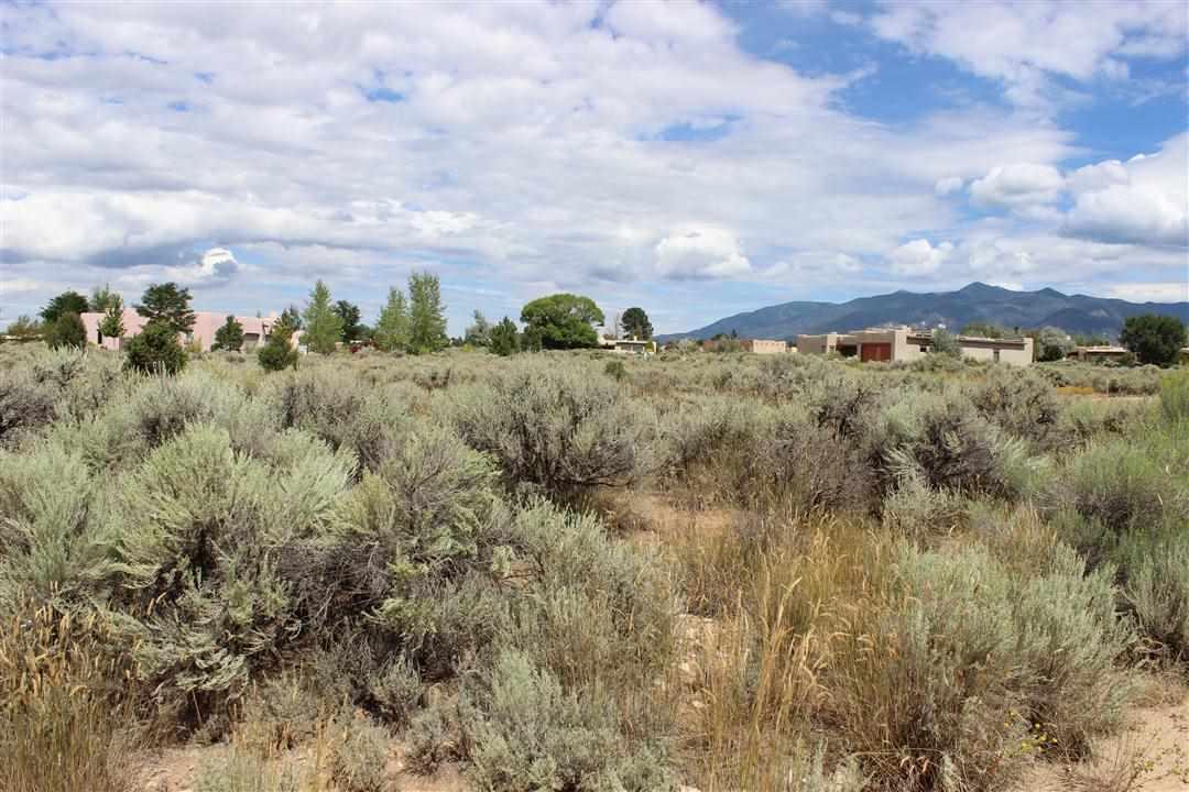 Lot 21 Del Norte Subdivision - Photo 1