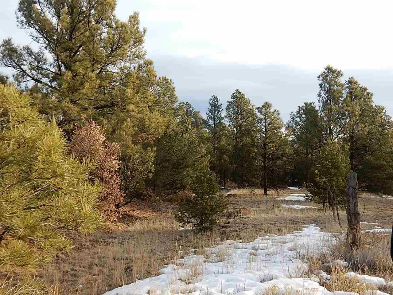 TBD County Rd 13 - Photo 1