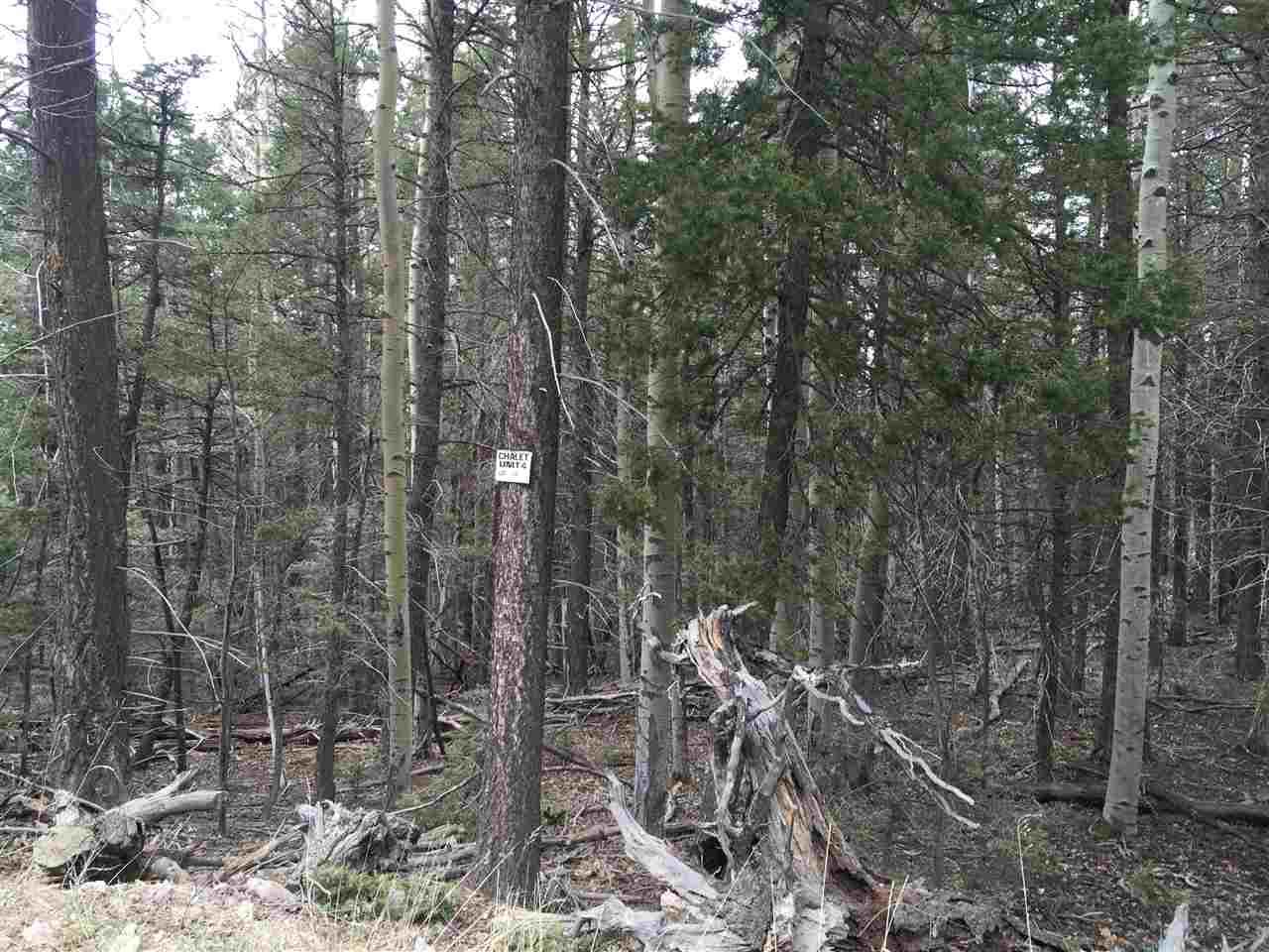 Lot 14 Chalet 4 - Photo 1