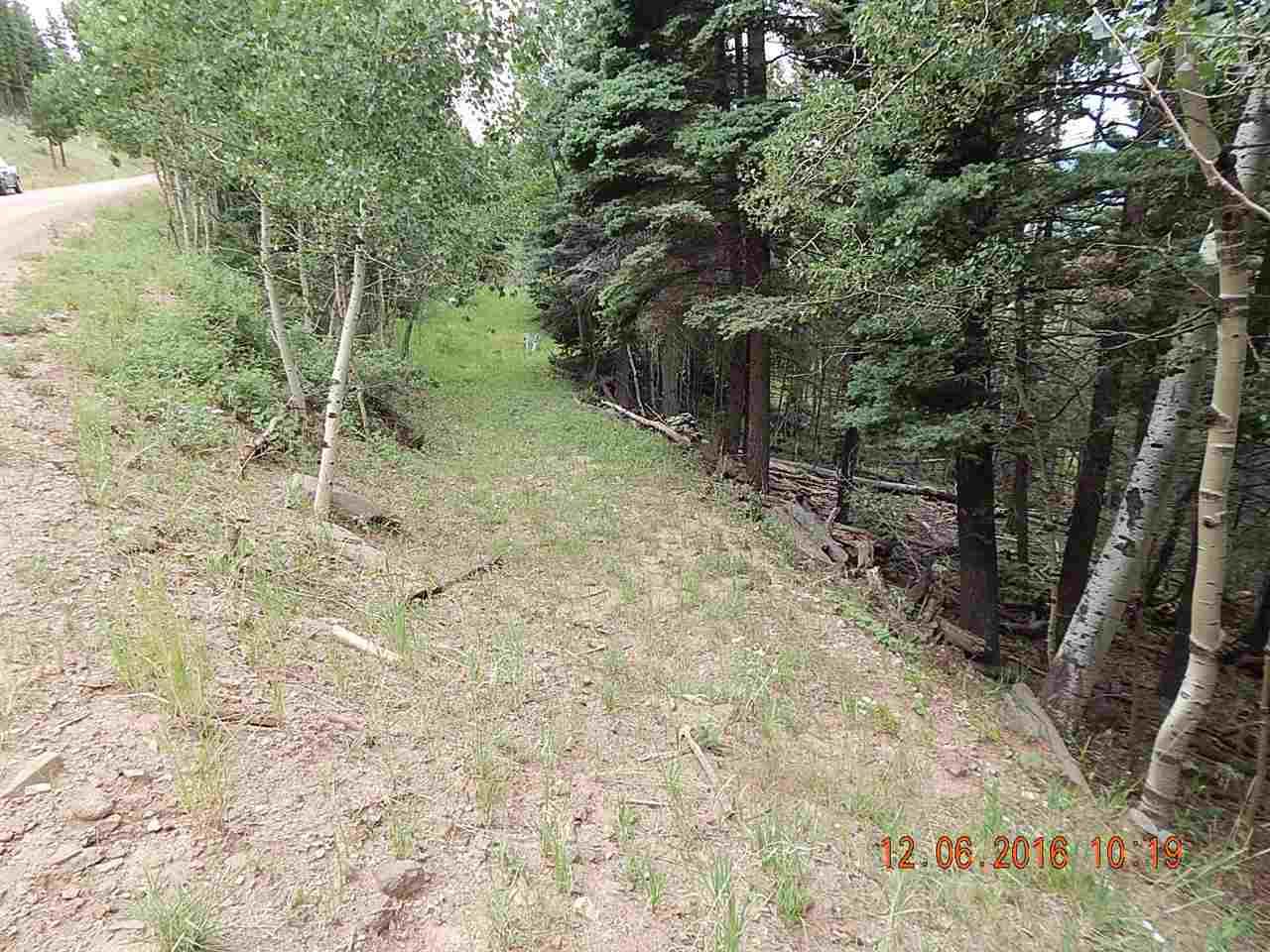 583 Panorama Way - Photo 1