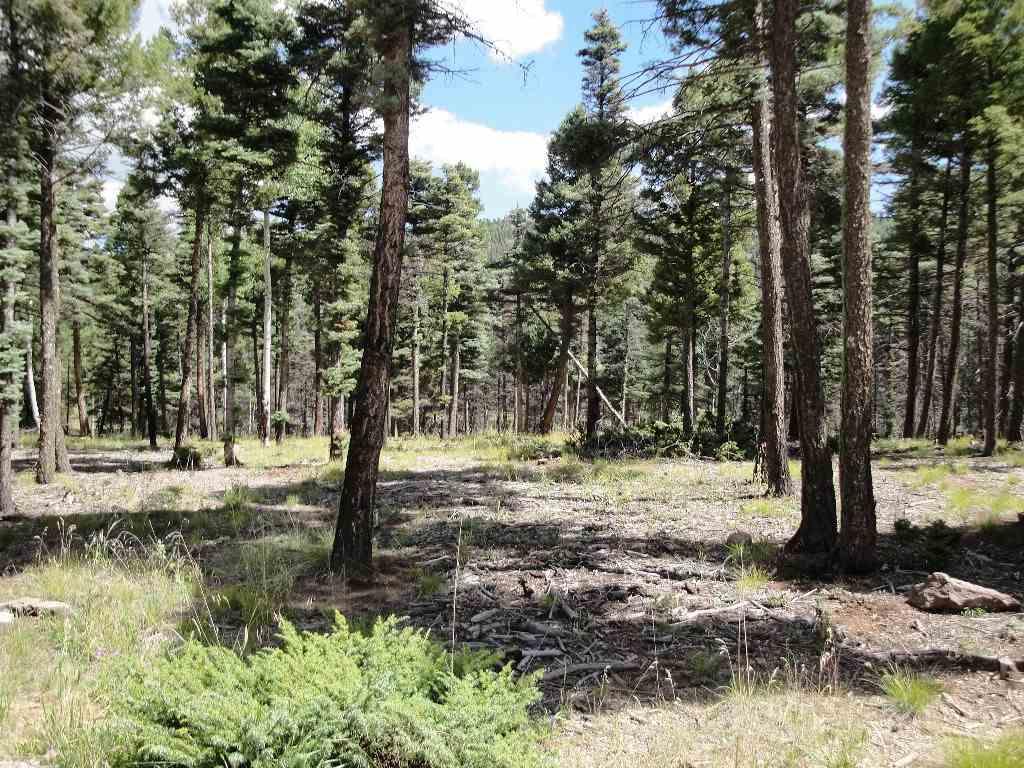 Lot 332 South Vail Overlook - Photo 1