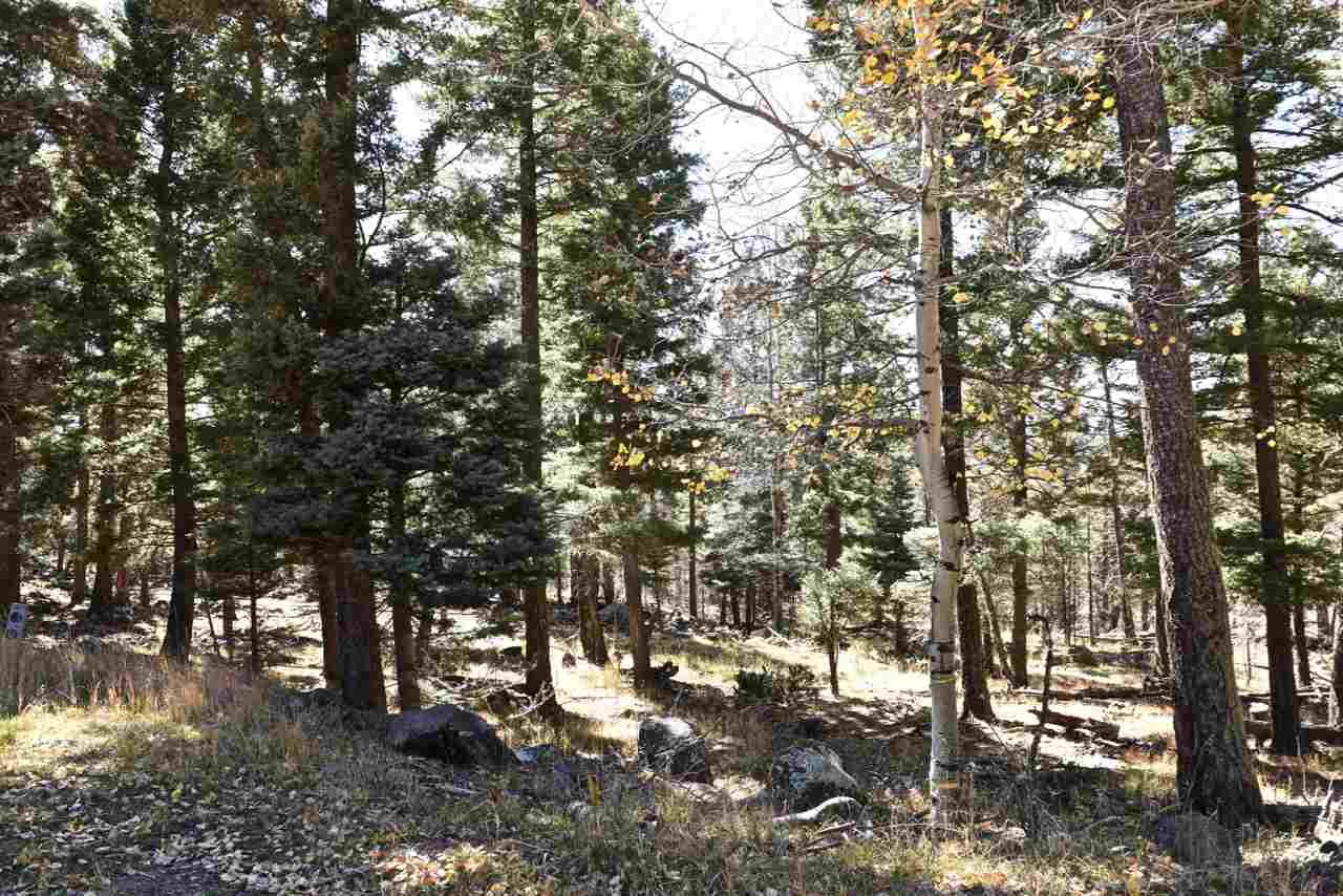 Lot 1444 Sunrise Overlook - Photo 1