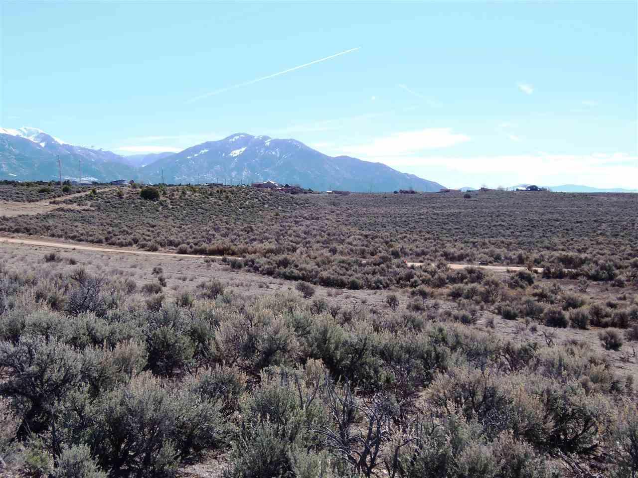 1.2 M Los Rios Road(B007) - Photo 1