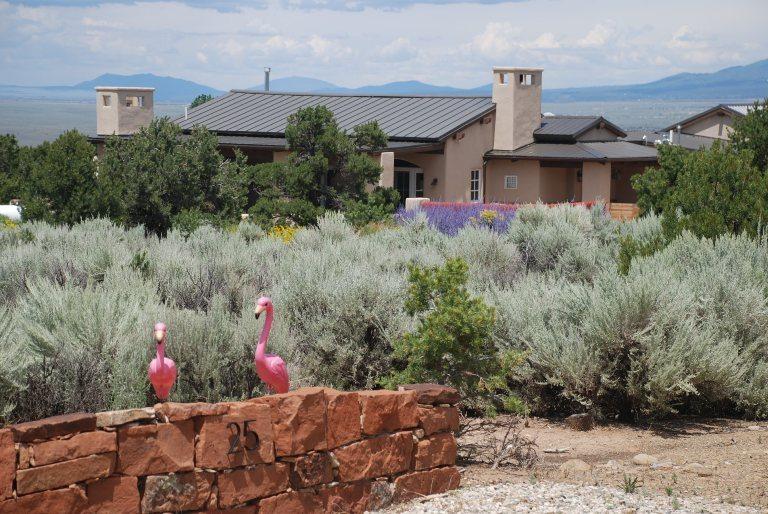 25 Camino Perdido - Photo 1