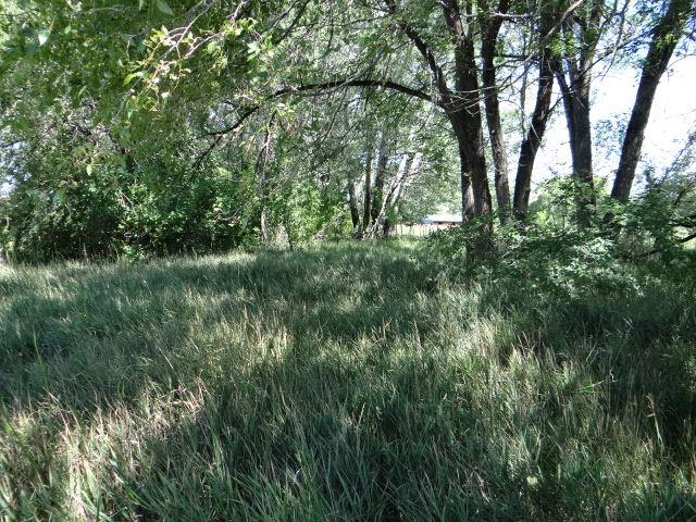 - Martinez Lane - Photo 1
