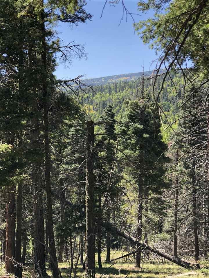 Lot 255 Vermejo - Photo 1