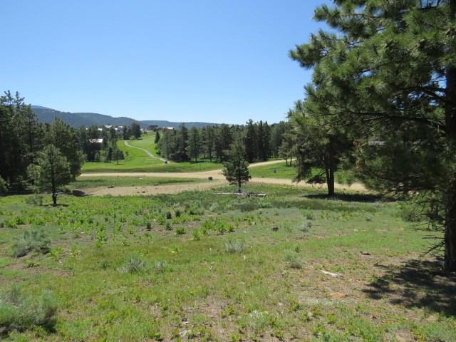 Lot 1253 Colonial Trail - Photo 1