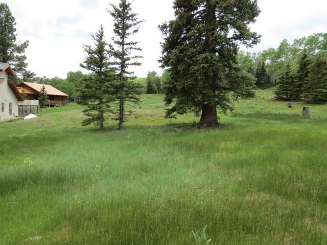 Lot 1178 Colonial Trail - Photo 1