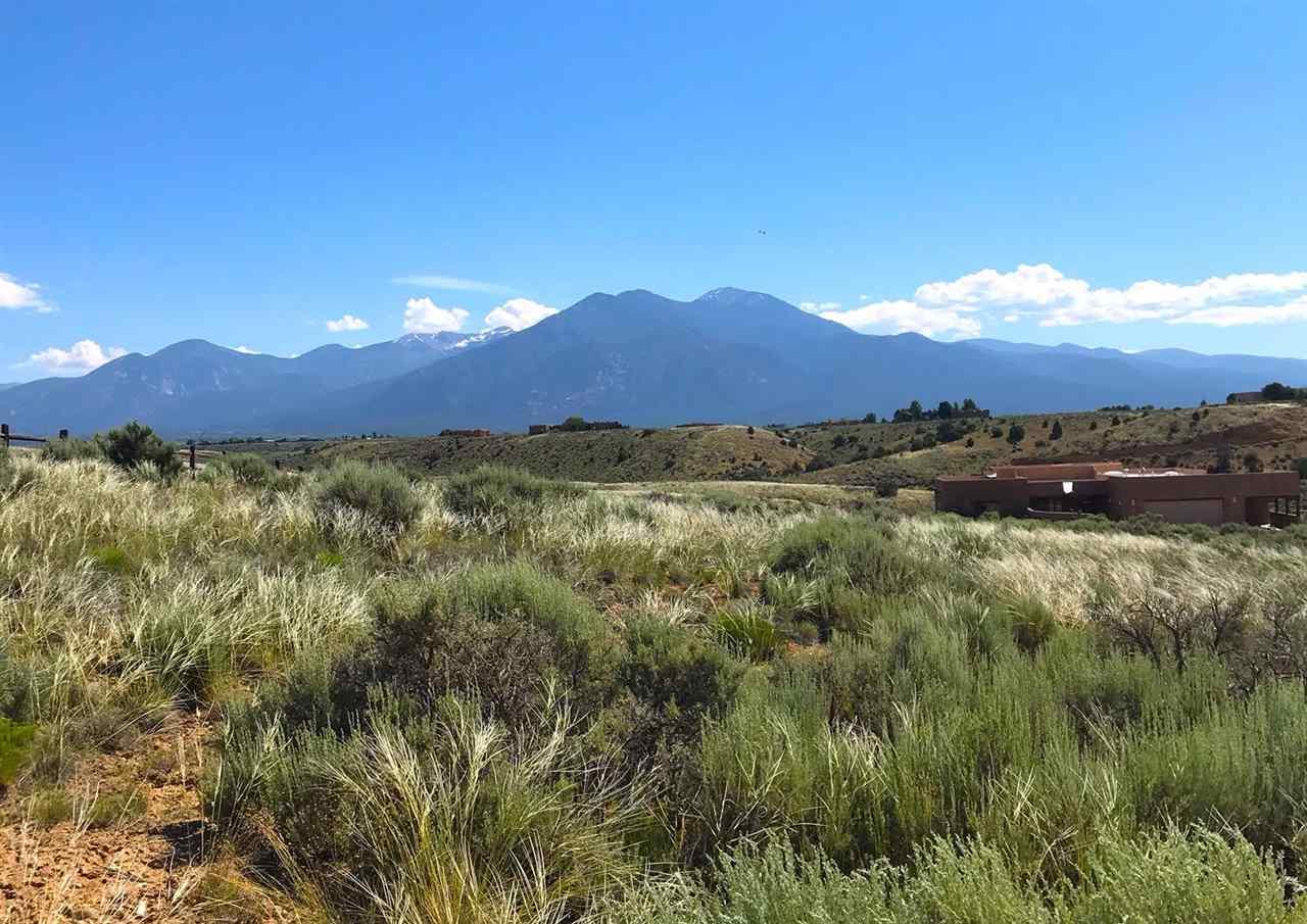 Nighthawk Trail - Photo 1
