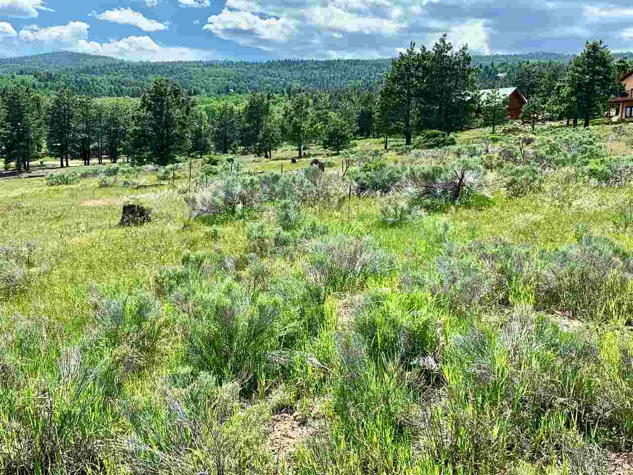Lot 1237 Candlewood Trail - Photo 1