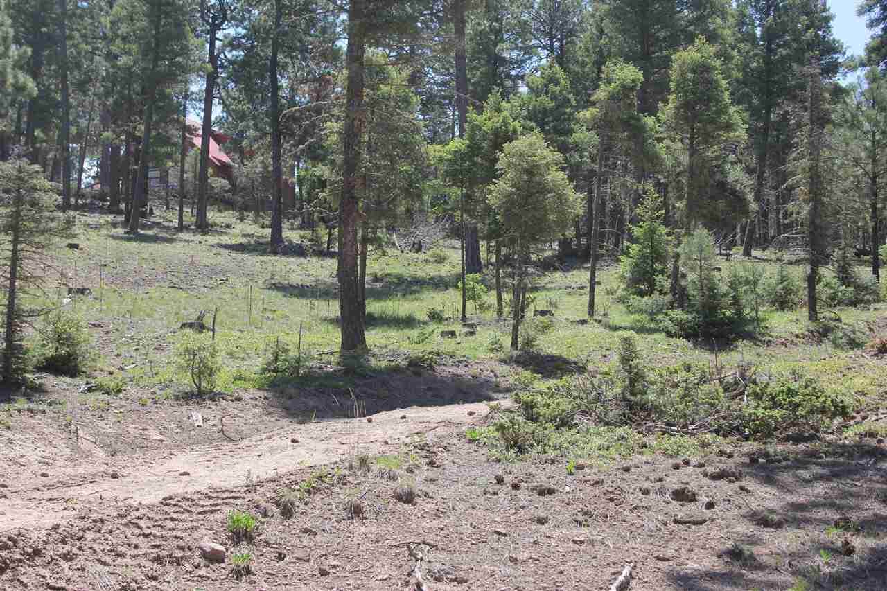 1581 Luna Drive - Photo 1