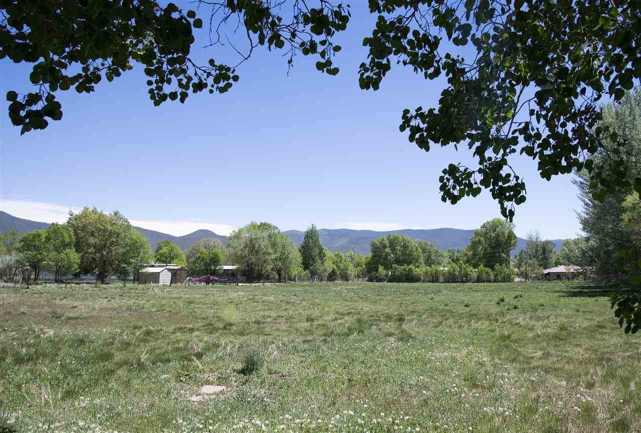 513 Upper Ranchitos Rd - Photo 1