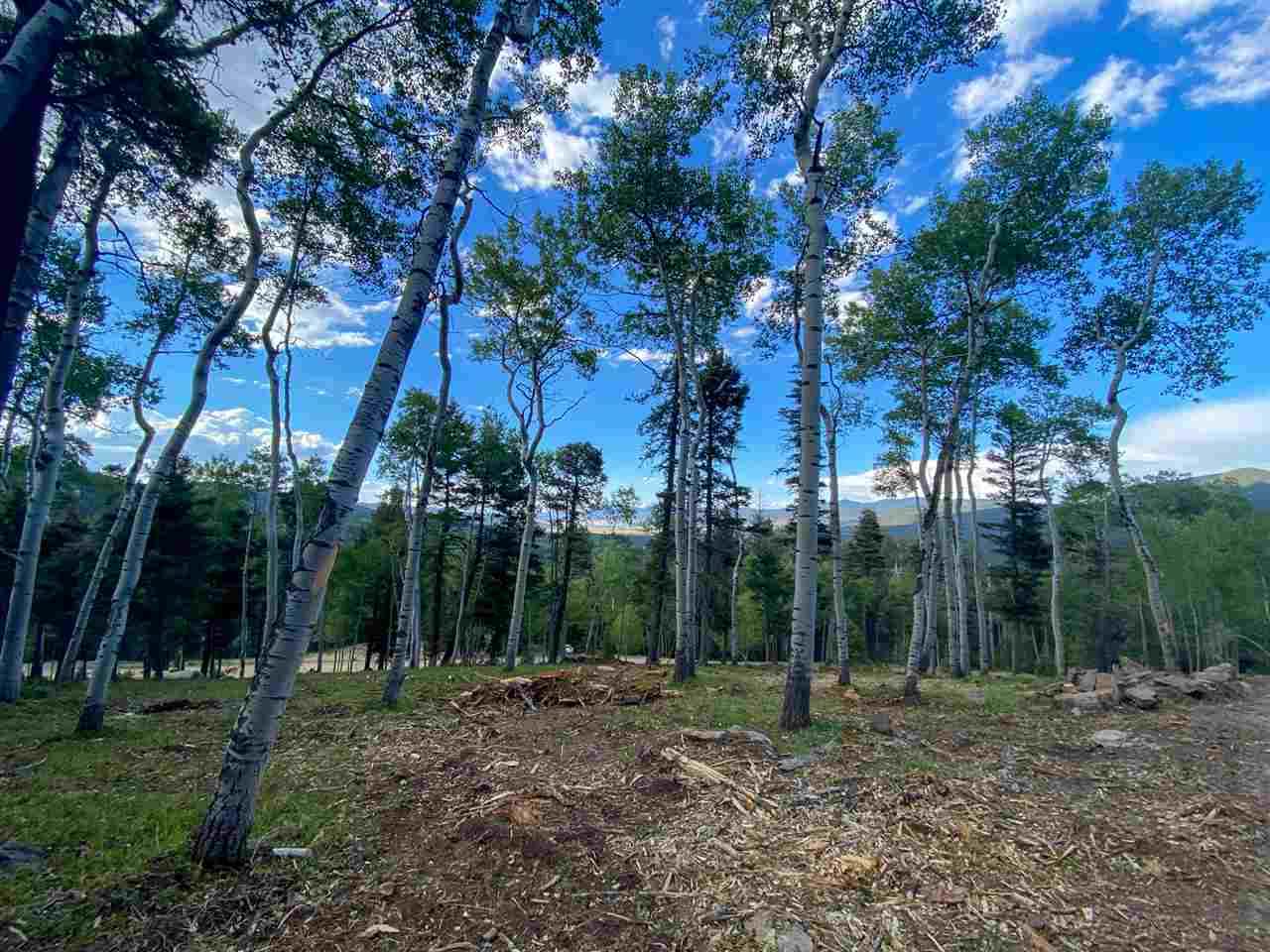 308A Rio Arriba - Photo 1