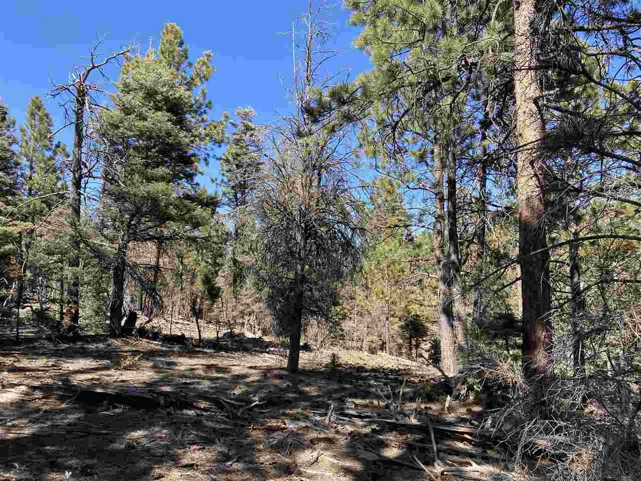 Lot 352 Vail Loop - Photo 1