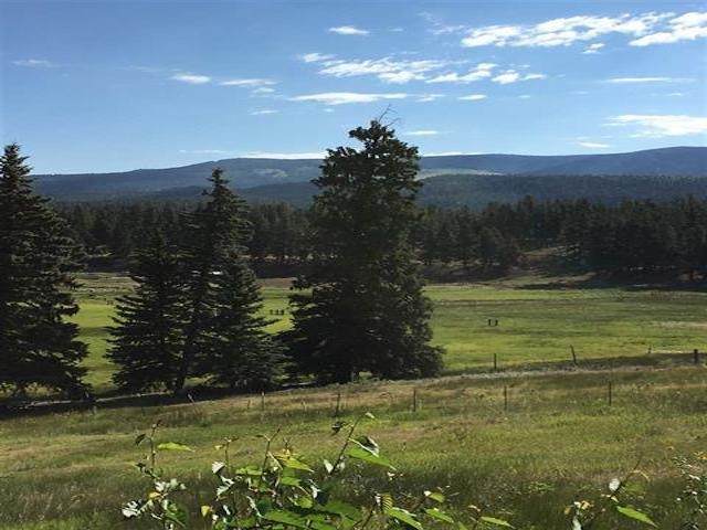 Lot 13 Black Lake - Photo 1