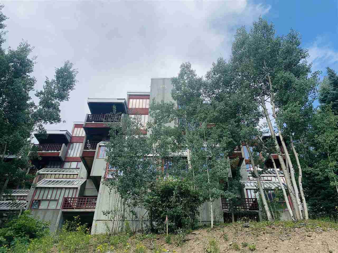 15 Twining Road - Photo 1