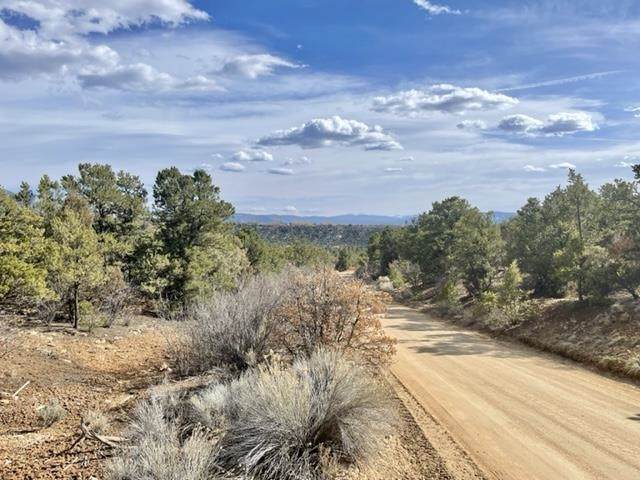 Lot 15 Deer Mesa - Photo 1