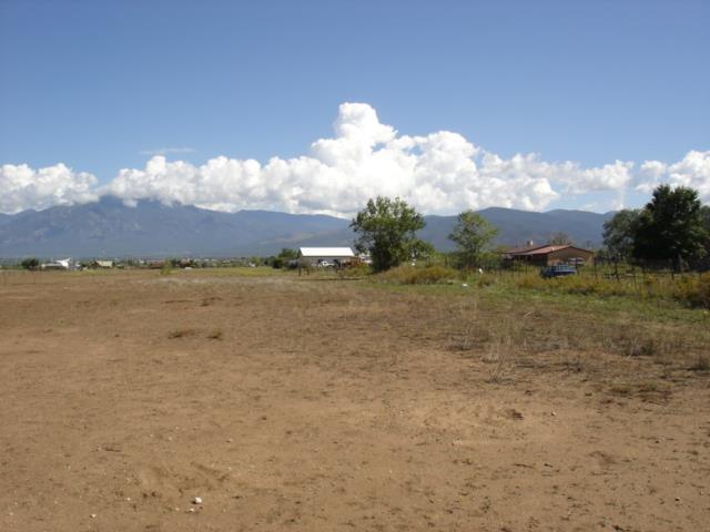 Tract D1 Off Highway 68 - Photo 1