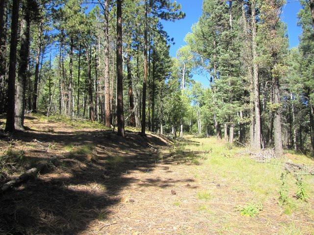 Lot 22 Taos Pines Ranch Road - Photo 1